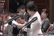 【新たな逸材】無所属・舟山康江「総理はよく悪夢の民主党政権と仰いますけれども安倍政権は７年ちょっとどちらが悪夢だったのかそう遠くない将来歴史が証明してくれる」