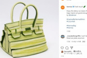 【悲報】エルメスの新作、若干滑る（画像あり）