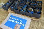 【投稿】青い鳥さん売り切れ「羽生結弦選手お買い上げの『幸せのBlueBird』完売しました」