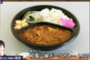 【悲報】藤井聡太、昼飯1000円の高級カレー