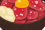 【悲報】松屋のローストビーフ丼 ← あまりにも食欲がそそられなさすぎると俺の中で話題にｗｗｗｗｗ