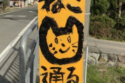 【悲報】猫による人類支配はじまる【画像あり】