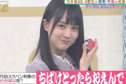 賀喜遥香「ちばけとったらおえんで！！！」【乃木坂46】