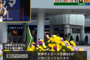ハマスタの場外アナウンス「只今佐藤選手が打席に立っております打球が場外まで飛び出る事がございます頭上にご注意下さい」ｗｗｗ
