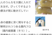 【驚愕】他人のウンコを移植すると病気が治る、性格と体質が変わる…！ 腸内細菌に人生を支配されていた事が判明