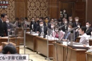 【悲報】議員「総理の口癖は”様々”という言葉なんですよ。以後封印していただきたい」→結果・・・