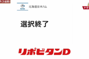 日本ハム、育成指名は3巡で終了