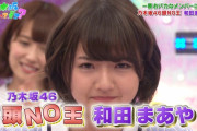 初代頭NO王の成績がコチラｗｗｗ【元乃木坂46】