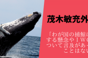【国際理解浸透か】反捕鯨「日本がIWC脱退！無法者国家！国際的孤立！」→茂木外相「捕鯨に言及あったことない」