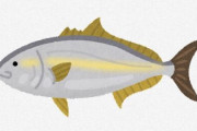 ガチで過大評価されてる魚介類wtwtwtwtwtwtwtwtwu