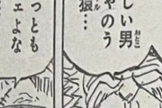 【悲報】ワンピースの黄猿、カッコよすぎるｗｗｗｗｗｗｗｗｗｗ