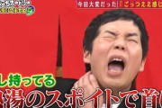 【悲報】 「ごっつええ感じ」で覚えてる神コント、特になし