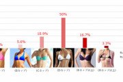 【悲報】理想女性の胸の大きさは？Aカップ0%→炎上