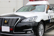 パトカーって何でクラウン多いの？ｗｗｗｗｗｗ