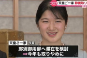 【皇画像】愛子さま、ガチで王女の風格が出てくる