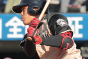日ハム野村、今季チーム初猛打賞で３打点　前日から５打席連続安打