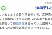 【悲報】軽自動車が信号無視をして横断歩道を渡っていた児童7人を跳ねる事件が起こる