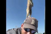 【動画】アメリカ人写真家、謎の動物に襲われめちゃくちゃにされてしまう