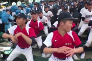【悲報】冷笑系「野球部入って三年間練習してこれ？（笑）」👉ガチで炎上する