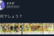 ツイッター民「この画像は何でしょう？（絶対に当てられないやろなぁ）」 → ガチ勢「！！」ｼｭﾊﾞﾊﾞﾊﾞ