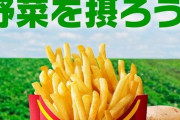 【デブ歓喜】マクドナルド公式さん、フライドポテトは野菜だと言い張ってしまうｗｗｗｗｗ