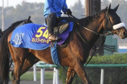 【重賞未勝利で引退か】カレンブーケドール　ジャパンカップ回避