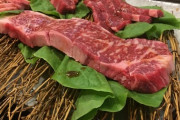 【ジョーカー？】焼き肉店立てこもり男「人生を終わりにしたかった。捕まる前に焼き肉を食べたかった」【宮迫さん助けて】