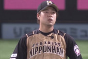 【vsソフトバンク】日ハム投壊止まらず　3番手の堀も一発を浴びて3点ビハインドに