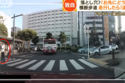 【謎】理不尽すぎる横断歩道トラブル、話題に。『ドライバー』と『警察』どちらの言い分が正しいんだ？