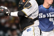 阪神タイガース、正捕手が見つかる