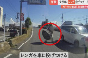 車道で車に何度もレンガを投げつける女　器物損壊で現行犯逮捕