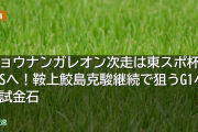 ショウナンガレオン次走は東スポ杯2歳Sへ！鞍上鮫島克駿継続で狙うG1への試金石