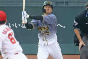 阪神近本、３試合連続安打で目標３割まであと４厘