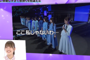 日向坂46佐々木美玲、濱岸ひよりが復帰した伝説の『青春の馬』で盛大にやらかしていたｗｗ【DASADA】