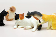 貫禄たっぷりのボス猫登場！「この町のボス猫」がフィギュアになってガチャに登場！