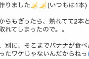 例の騒動から4周年を迎えた新田恵海さん、意味深なツイートを投稿