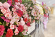 SKE48運営からお礼！「日本ガイシホール。 ロビーが、とても華やかになりました。」