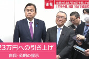 【悲報】政府「やっぱ１７８万円無理だわ。１２３万でええやろ」