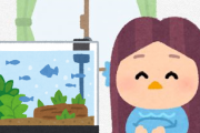 【画像】去年ワイにメダカ買うのオススメしたなんJおるか？