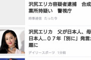 【デイリー】沢尻エリカの父は日本人、母は日本人だった