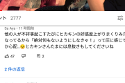 【悲報】ヒカキンさんの最新動画のコメントｗｗ
