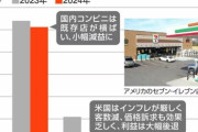 【悲報】謎の勢力「セブンが不調は底上げのせい！ｗ」有識者「国内より北米事業がヤバいだけだぞ」