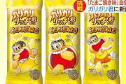 ガリガリ君たまごやき味の賛否