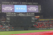 カープチケットの降雨ノーゲーム払戻しルールを100％答えられるファン0人説