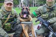 置き去りにされた「ロシアの軍用犬」がウクライナ軍の一員として活躍中！