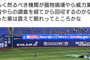 【朗報】グラウンドにゴミを投げ込んだ阪神ファン、警察沙汰になりそう