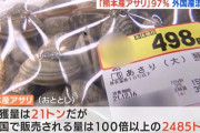 ？？「中国・韓国アサリを海に撒いて収穫したろ！」