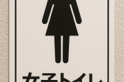 女子トイレ盗撮してると案外鼻ほじったりする女が多くてビビるよな