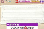 [韓国の反応]日本では学生に白いマスクを強制しているらしいですね「韓国ネット民」こう見ると我々の悪い風習は日本から来たものだとわかりますね