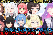 【ホロライブ】すげぇ大人数でディズニーシー行ってきたんだな『トワフブミオわたすいころルイスバみこ』